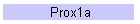 Prox1a